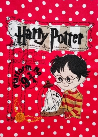 pan Potter- aplikace